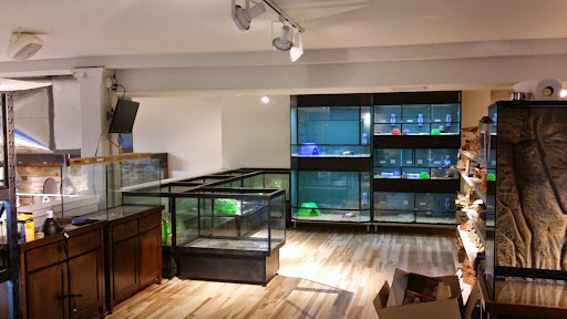 Pet Store «Critter Cabana», reviews and photos, 516 E 1st St, Newberg, OR 97132, USA