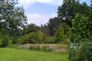 ForEvergreen Nature Preserve