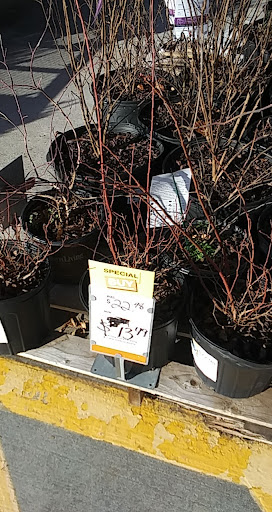 Home Improvement Store «The Home Depot», reviews and photos, 6921 Walton Ln, Gloucester Courthouse, VA 23061, USA