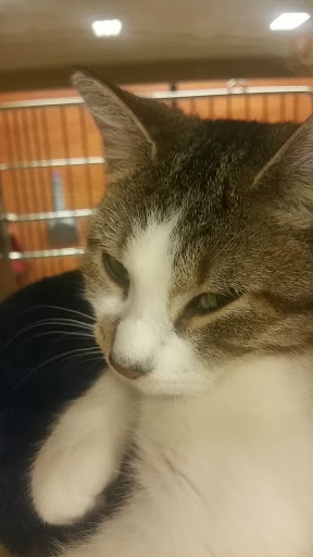 Pet Supply Store «PetSmart», reviews and photos, 2100 88th St, North Bergen, NJ 07047, USA