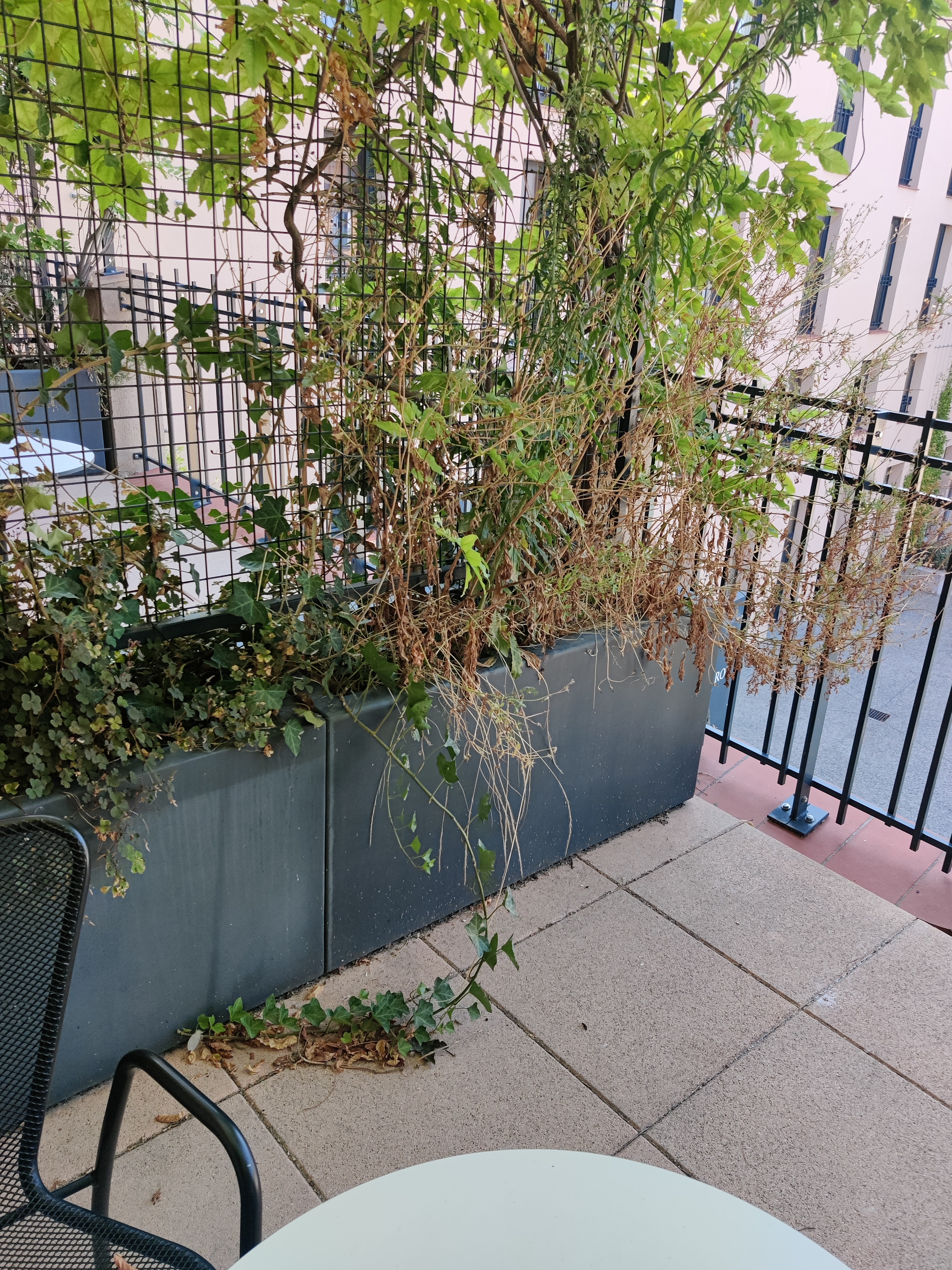 Photo n° 1 de l'avis de Mickaël.e fait le 19/08/2022 à 19:27