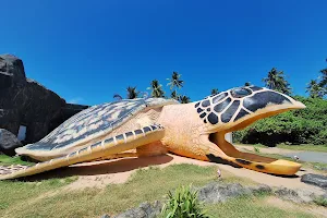 Ahungalla Sea Turtles Conservation Project image