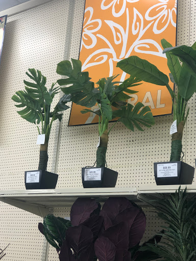 Craft Store «Hobby Lobby», reviews and photos, 901 S Interstate Hwy 35 #101, Georgetown, TX 78626, USA