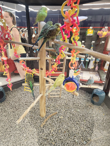 Pet Supply Store «Petco Animal Supplies», reviews and photos, 200 Edwards Blvd b, Lake Geneva, WI 53147, USA