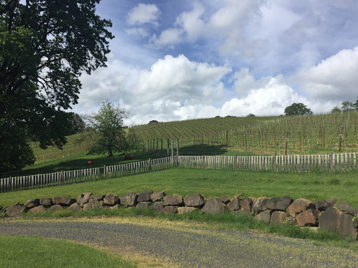 Winery «Belle Pente Vineyard & Winery», reviews and photos, 12470 NE Rowland Rd, Carlton, OR 97111, USA