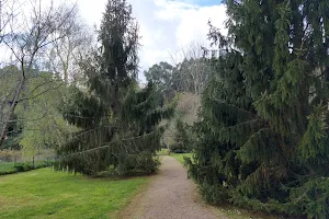 da Igrexa de Liáns Park image