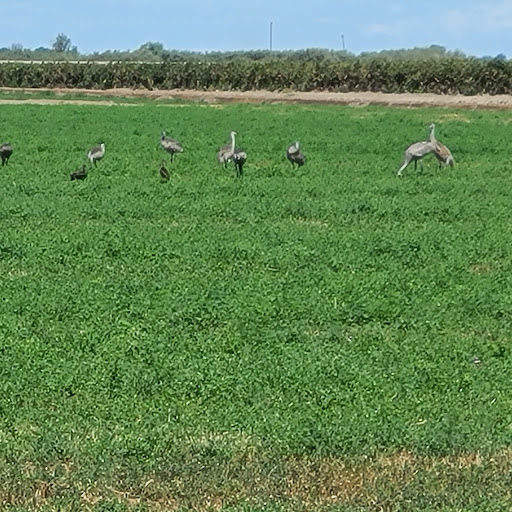 Nature Preserve «Woodbridge Ecological Reserve», reviews and photos, 7730 W Woodbridge Rd, Lodi, CA 95242, USA