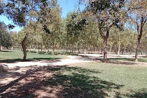 amate Park image