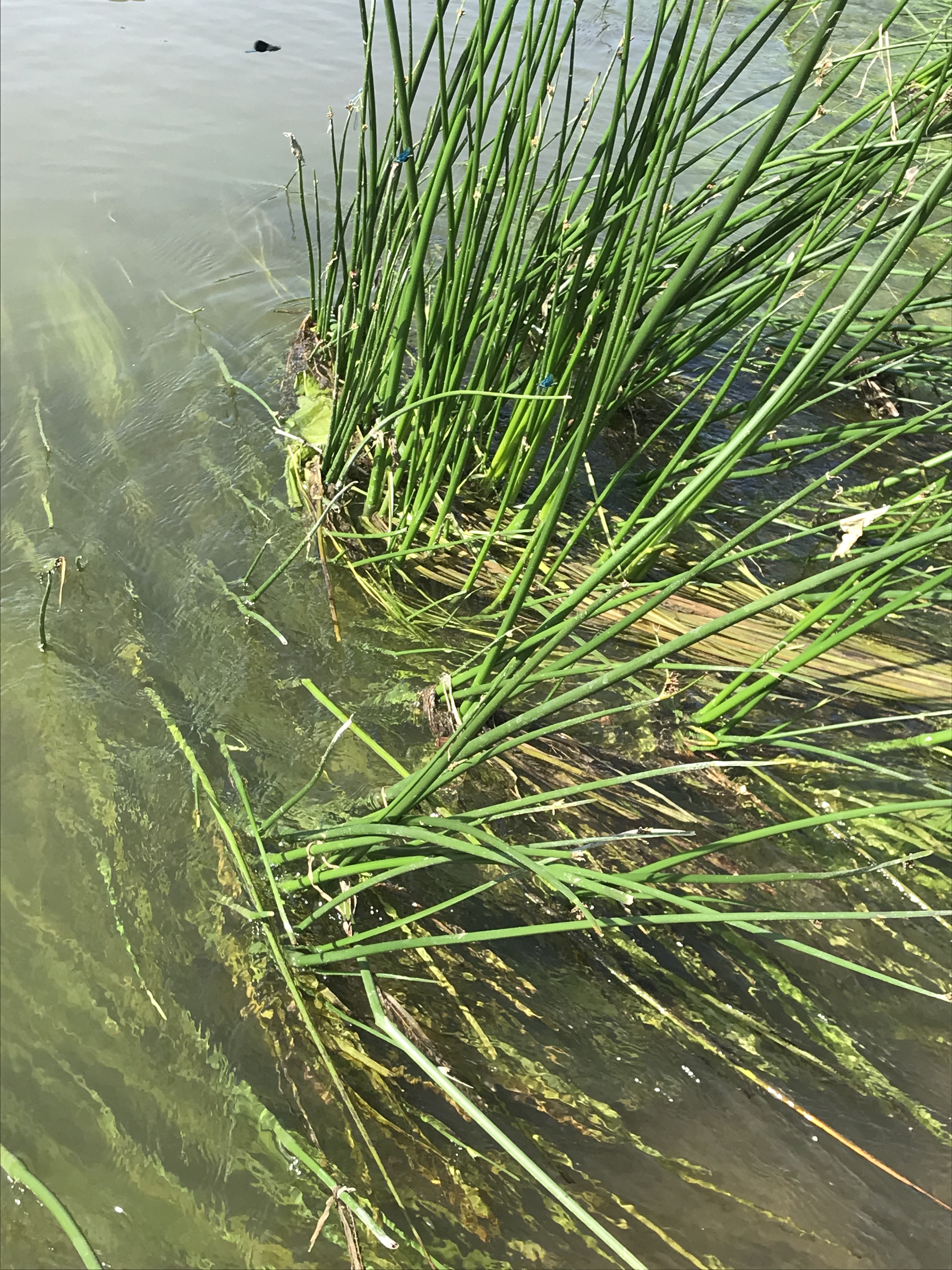 Photo n° 14 de l'avis de prebay.r fait le 31/03/2023 à 07:39