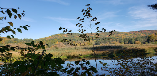 Environmental Organization «VINS Nature Center», reviews and photos, 6565 Woodstock Rd, Quechee, VT 05059, USA