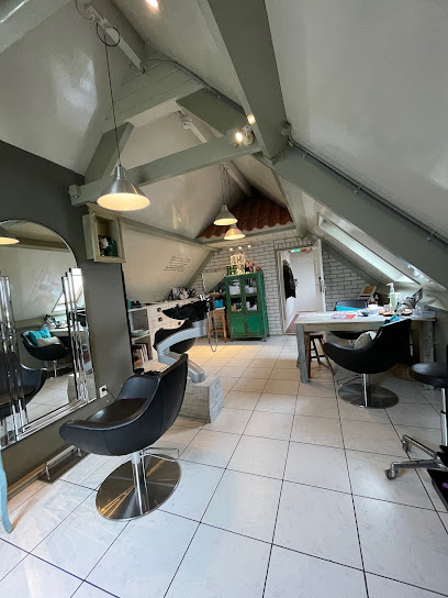 Hairstudio Capelli