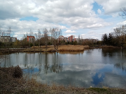 Cukrovarský rybník Čakovice