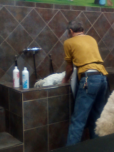 Pet Store «Pet Valu», reviews and photos, 604 Plaza Dr, Newark, DE 19702, USA