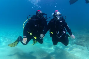 Diving la Casa del Mar image