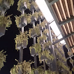 Photo n°39 de l'avis de Luigi.m fait le 14/05/2023 à 21:52 sur le  San Barbato Resort Spa & Golf à Lavello