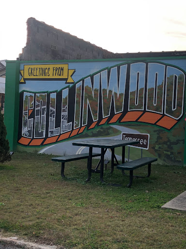 Coffee Shop «Dragonfly», reviews and photos, 100 2nd Ave N, Collinwood, TN 38450, USA