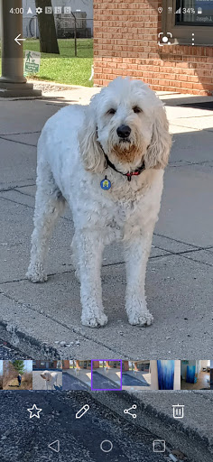 Roofing Contractor «Roof-Rite, Inc.», reviews and photos, 1036 Benstein Rd, Walled Lake, MI 48390, USA