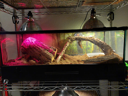 Pet Store «CUSTOM CREATURES PET SHOP», reviews and photos, 10727 N 19th Ave, Phoenix, AZ 85029, USA