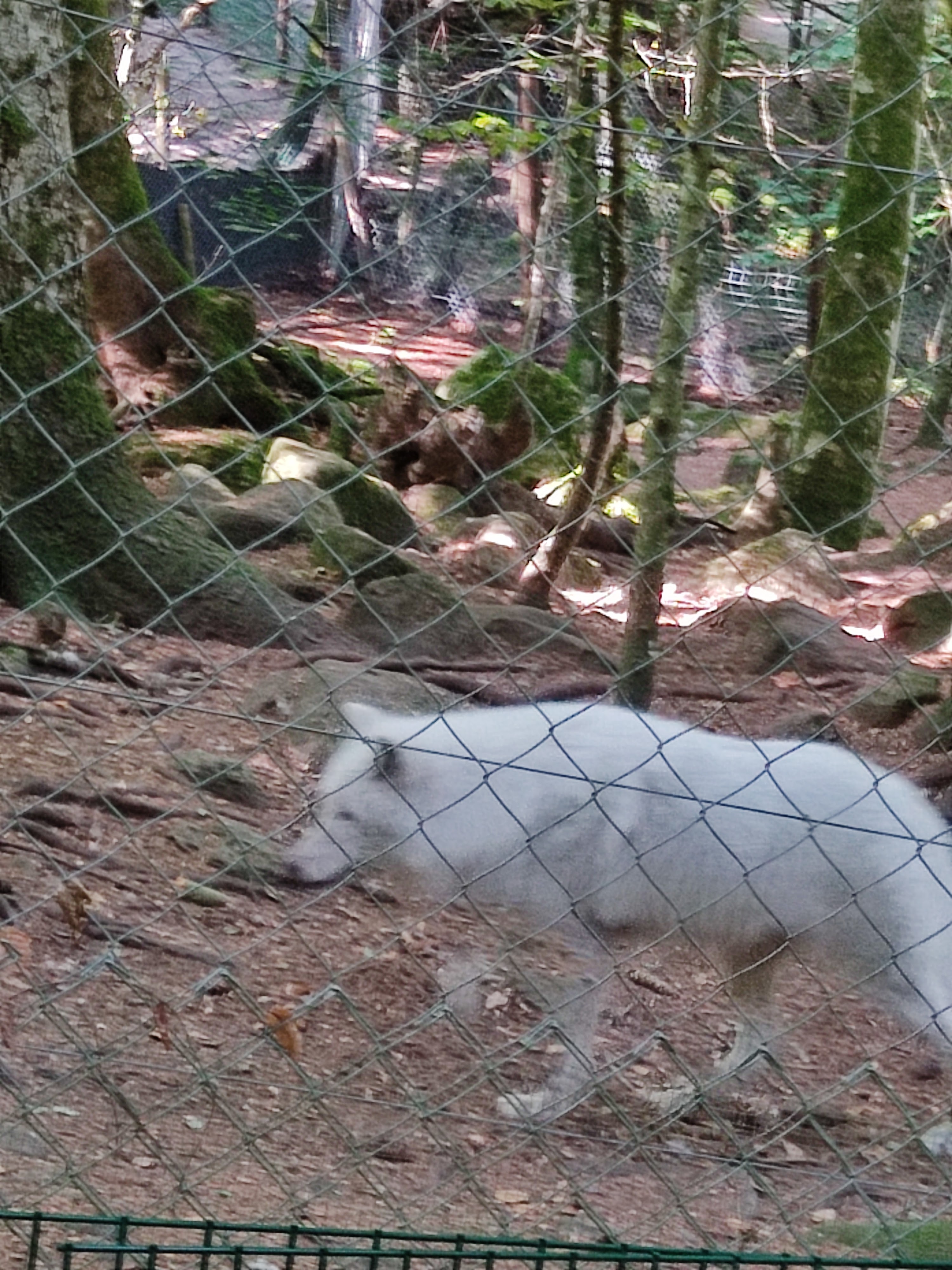 Photo n° 11 de l'avis de Delphine.e fait le 17/08/2022 à 19:26