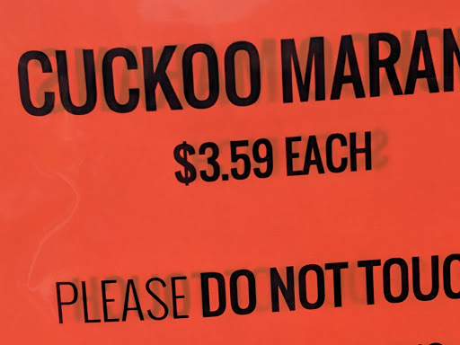 Pet Supply Store «Pet Food Plus», reviews and photos, 2819 E Hamilton Ave, Eau Claire, WI 54701, USA