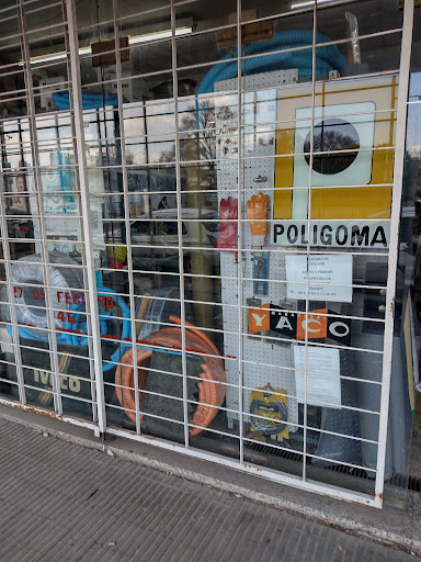 Poligoma