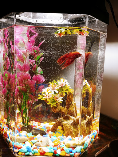 Pet Supply Store «IncrediPet», reviews and photos, 306 Southland Dr, Lexington, KY 40503, USA