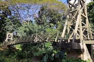 Kapaia Swinging Bridge image