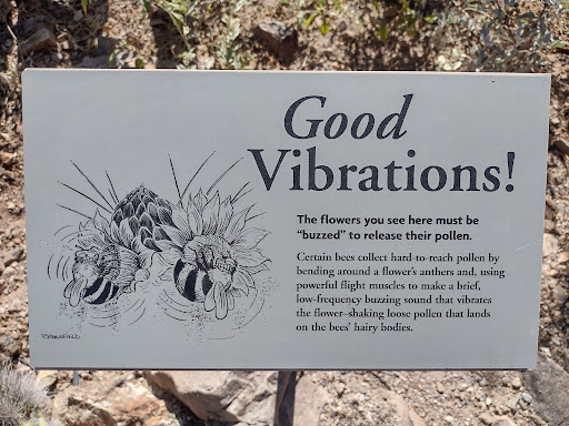 Natural History Museum «Arizona-Sonora Desert Museum», reviews and photos, 2021 N Kinney Rd, Tucson, AZ 85743, USA