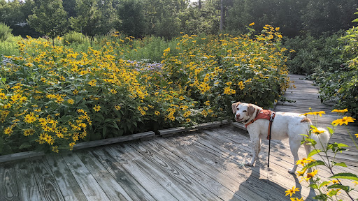 Park «Fisher Hill Reservoir Park», reviews and photos, 78-144 Fisher Ave, Brookline, MA 02445, USA