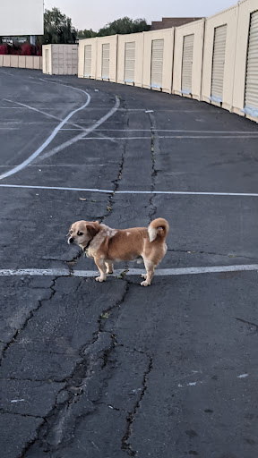 Drive-in Movie Theater «Rubidoux Drive-In Theatre and Swap Meet», reviews and photos, 3770 Opal St, Riverside, CA 92509, USA