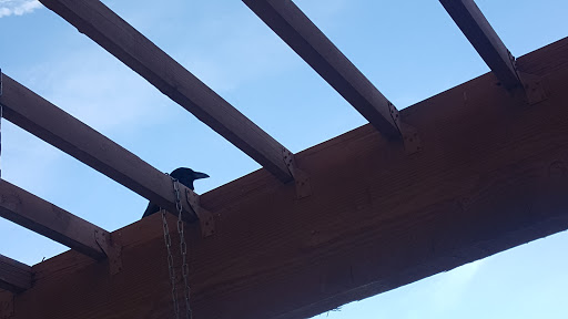 Body Piercing Shop «Rad-A-Tat Tattoo», reviews and photos, 2114 Apache Trail #10, Apache Junction, AZ 85220, USA