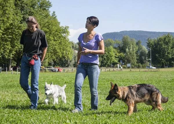 Rezensionen über Giovanna Della Libera Hundetrainerin in Villars-sur-Glâne - Hundeschule