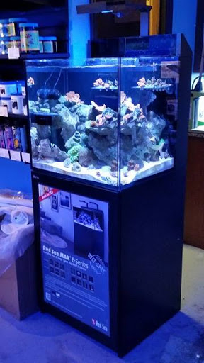 Pet Store «Reefers Direct Aquatics», reviews and photos, 3227 13th St, St Cloud, FL 34769, USA