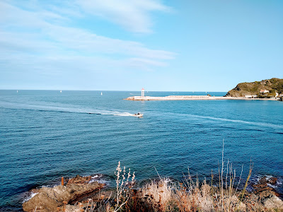 Port de Pêche à Port-Vendres