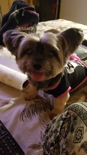 Pet Supply Store «Petco Animal Supplies», reviews and photos, 1255 Raritan Rd #140, Clark, NJ 07066, USA