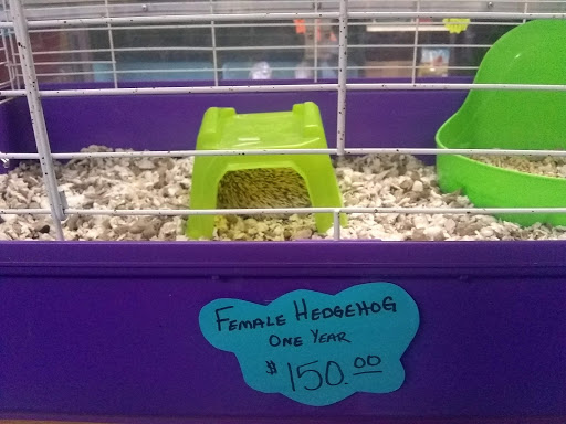 Pet Store «V.I. Pets», reviews and photos, 11975 E Lakewood Blvd, Holland, MI 49424, USA