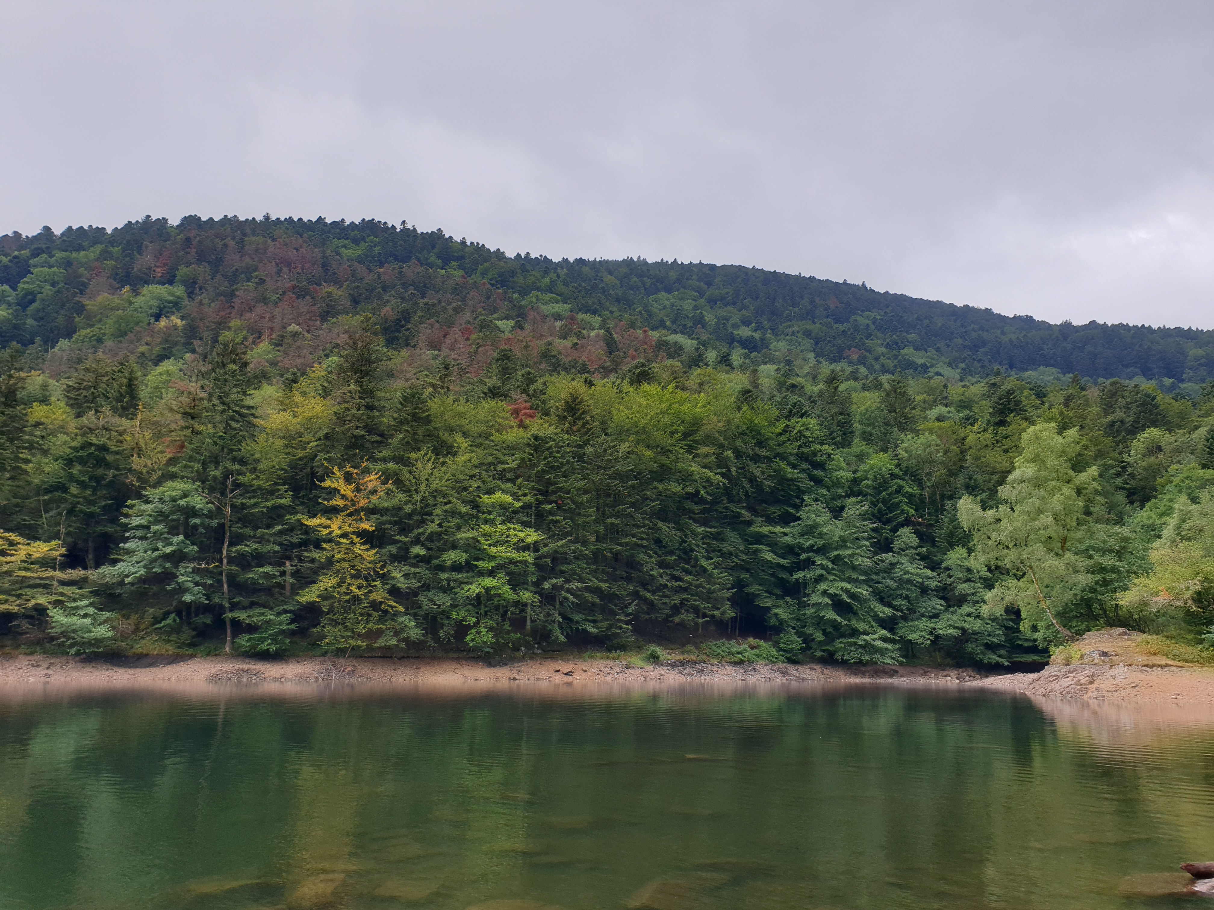 Photo n° 18 de l'avis de Christophe.r fait le 28/07/2019 à 18:55