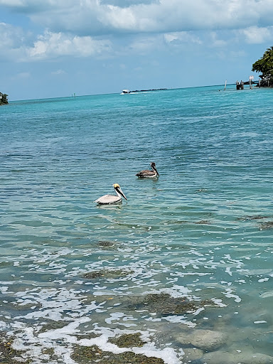 Aquarium «Florida Keys Aquarium Encounters», reviews and photos, 11710 Overseas Hwy, Marathon, FL 33050, USA