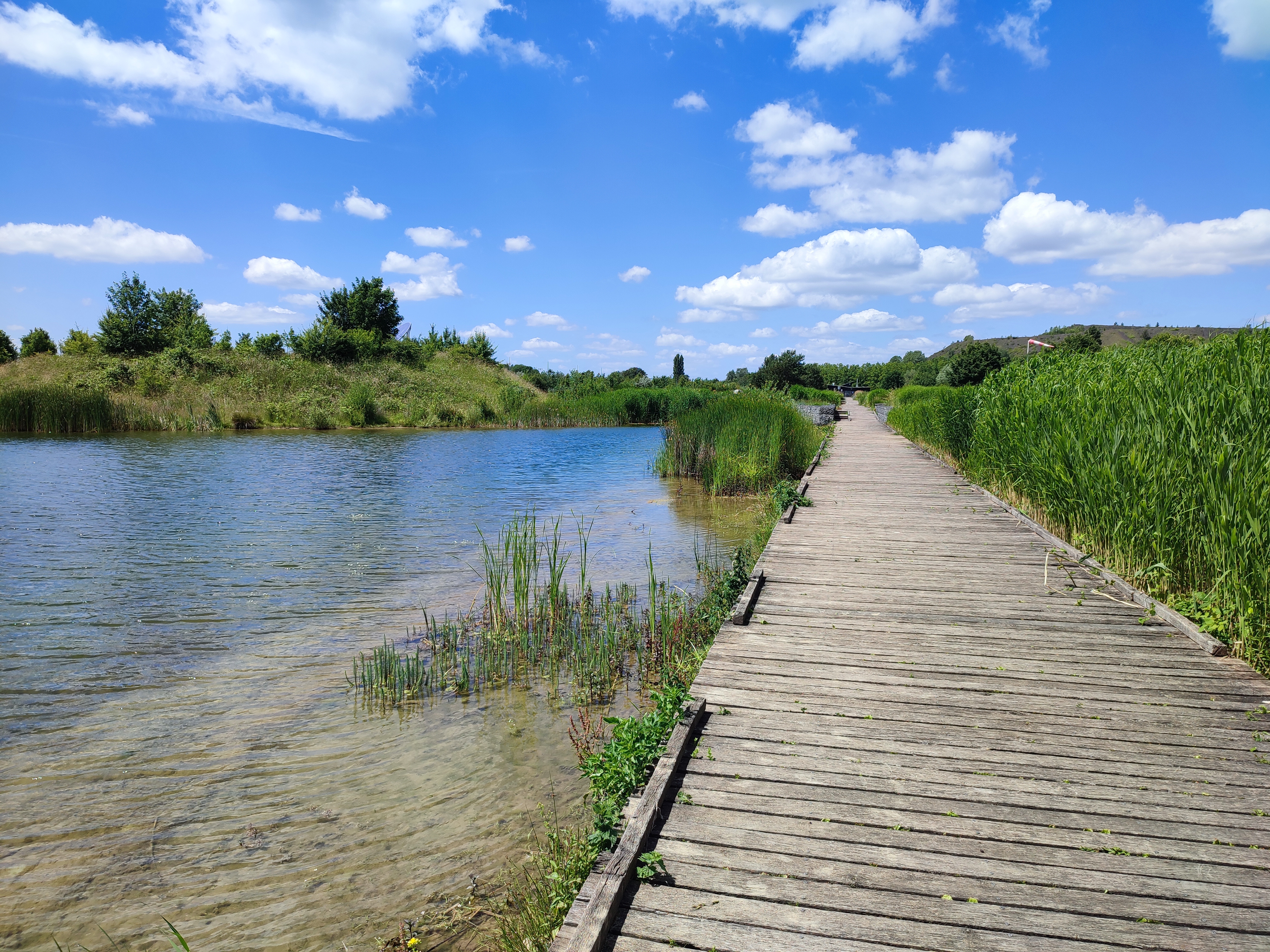 Photo n° 10 de l'avis de Vagabond.a fait le 13/06/2022 à 16:42