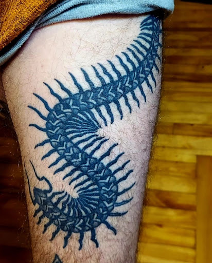 Explore willow tree tattoo ideas, creative tattoo ideas in Worcester, available at Ideal Americana Tattoo Company