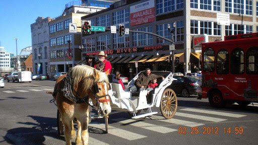 Sugar Creek Carriage Rides Nashville