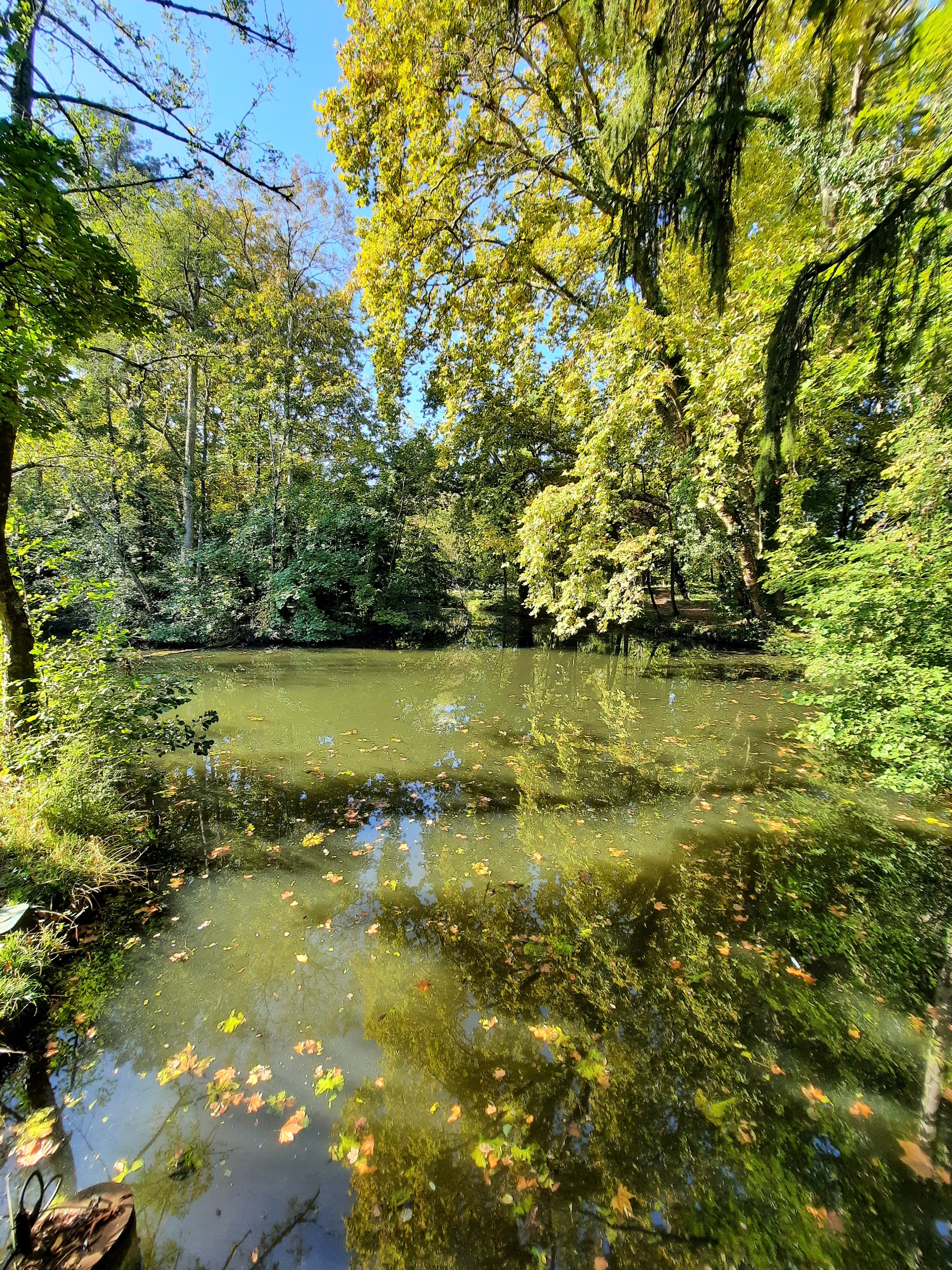 Photo n° 7 de l'avis de teixeira.a fait le 16/10/2021 à 21:10