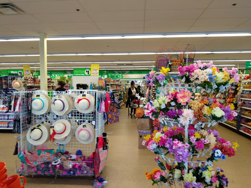 Dollar Store «Dollar Tree», reviews and photos, 18036 Mateny Rd, Germantown, MD 20874, USA