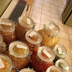 Photo n°2 de l'avis de silvia.n fait le 29/10/2023 à 16:08 sur le  Osteria “Antico Pedaggio” à Pedaggio