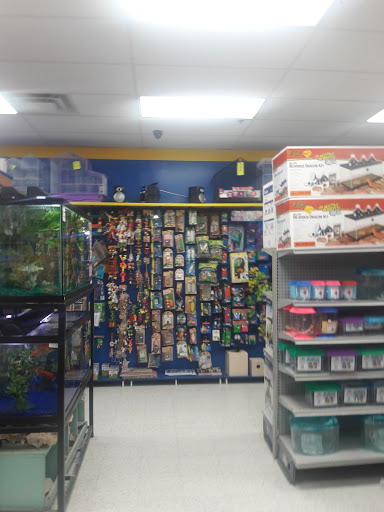 Tropical Fish Store «Petland Discounts - Hylan», reviews and photos, 2712 Hylan Blvd, Staten Island, NY 10306, USA