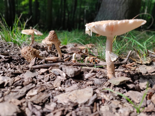 Park «Cleveland Metroparks», reviews and photos, 1969 W Ridgewood Dr, Cleveland, OH 44134, USA