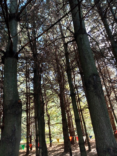 Farm «Clarks Elioak Farm LLC», reviews and photos, 10500 Clarksville Pike, Ellicott City, MD 21042, USA