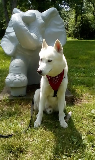 Memorial Park «Veterans Memorial Park», reviews and photos, 7619 Memphis Ave, Brooklyn, OH 44144, USA