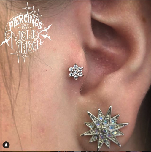 Explore bug tattoo ideas, creative tattoo ideas in Oshkosh, available at Piercings by Molly Moon at 920 Tattoo and Piercing