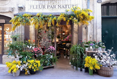 fleur par nature by benjamin jean à Montpellier